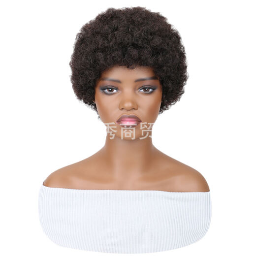3-Inch Black Afro Curly Full Cap Human Hair Wig for Daily Wear for Parties